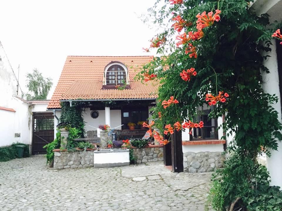 the-country-hotel-harman-auberge-rustique-roumanie-transylvanie