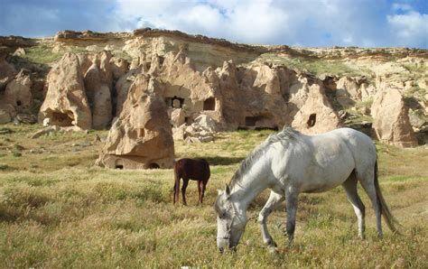 Randonnée équestre en Cappadoce Turquie chevaux