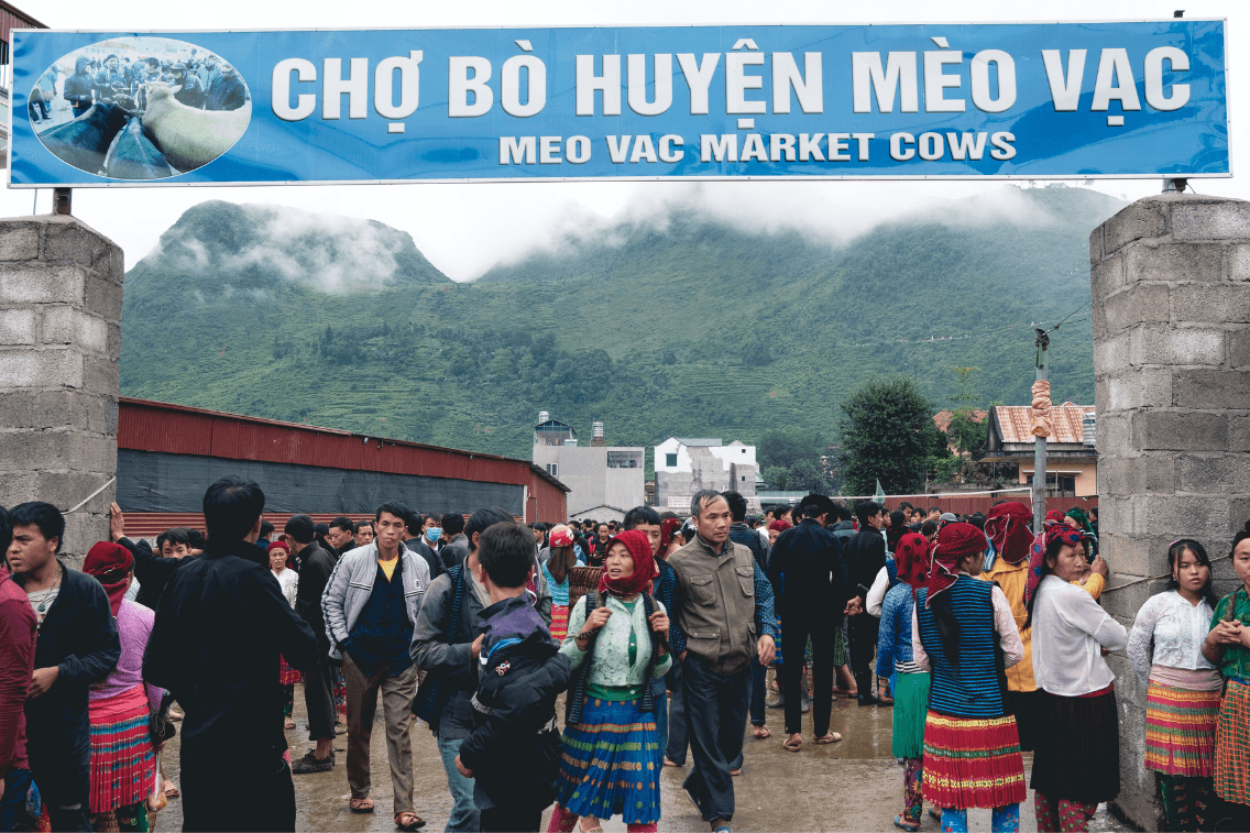 vietnam meo vac marché