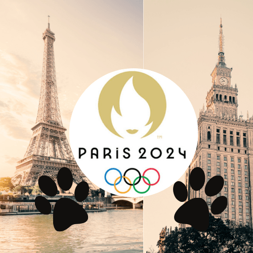 Chiens et logo JO Paris 2024 - Montage : Léonie DELAHOUTRE pour Lpj.com Varsovie