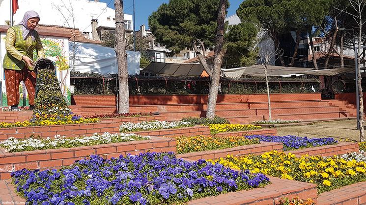 Bayındır région égéenne ville fleurs