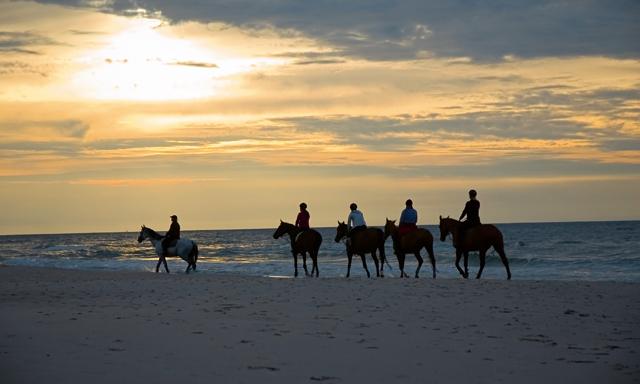 cheval plage Dubai 