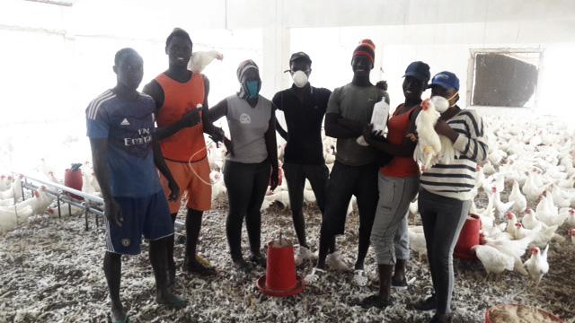 Aviculteurs en colère