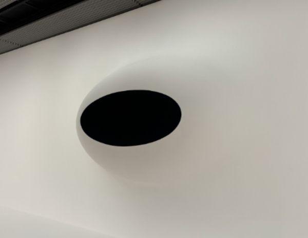 Anish Kapoor