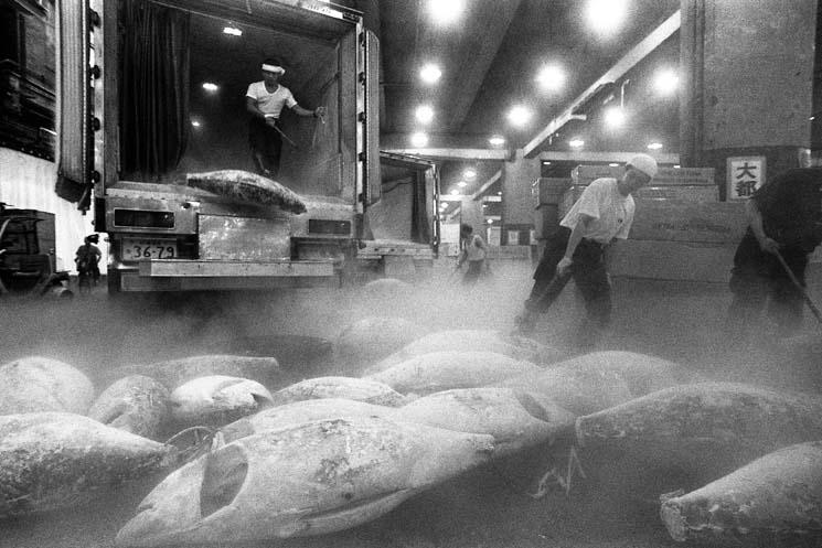 Photo d’archive © B.Chapiron  – 1996, Halles de Tsukiji à Tokyo.