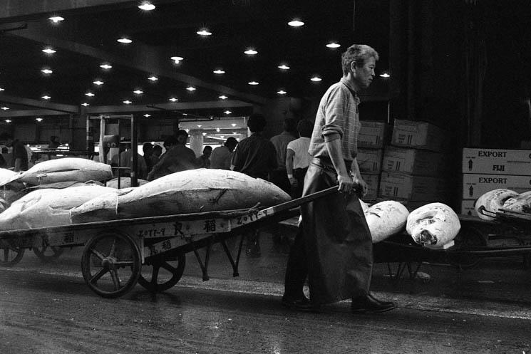 Photo d’archive © B.Chapiron  – 1996, Halles de Tsukiji à Tokyo.