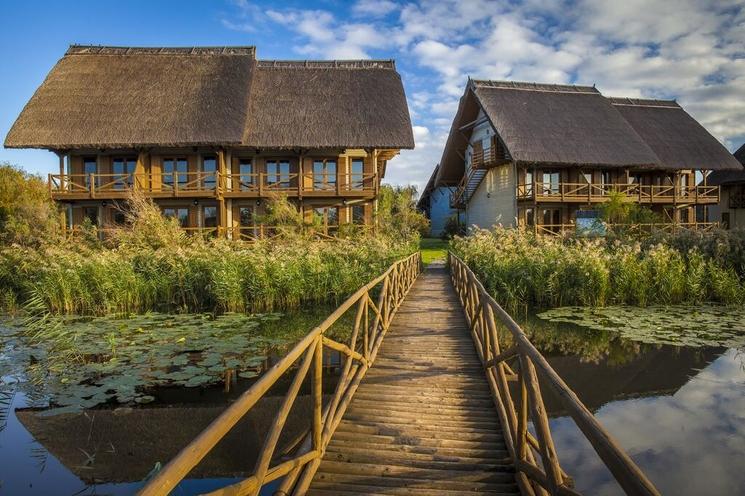 green-village-cabane-delta-danube-roumanie-tourisme