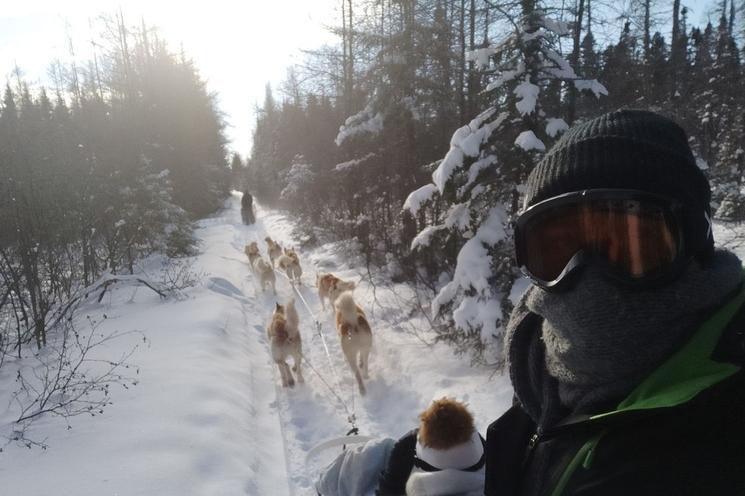 Escapade en traineau tiré par des chiens au Québec