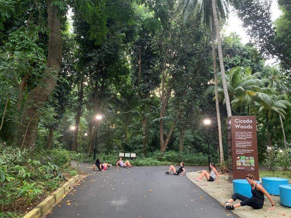 cicada walk singapour