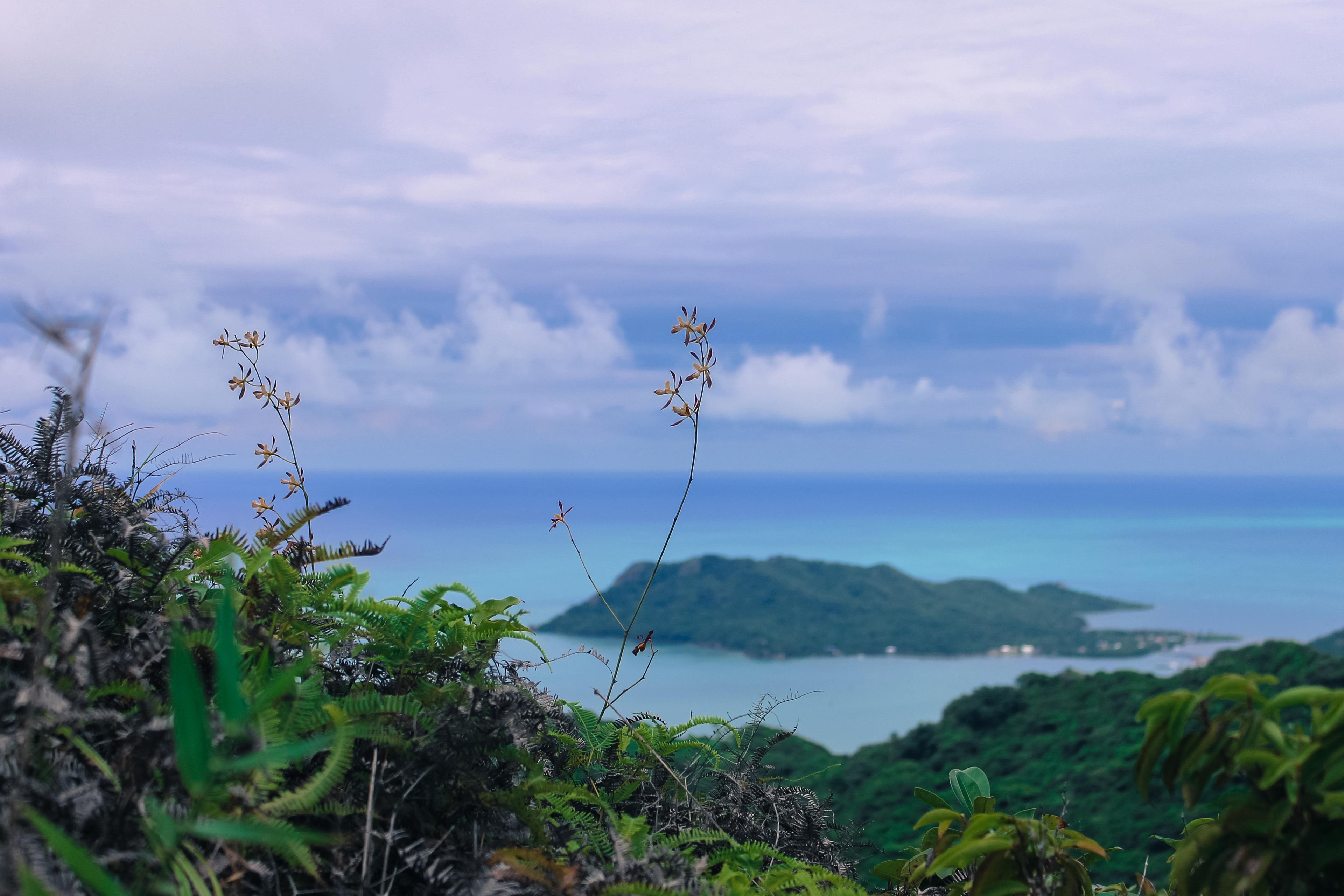 voyage colombie providencia san andres