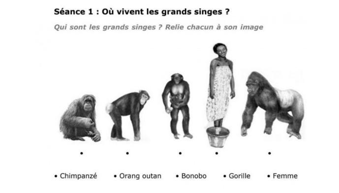 Où vivent les grands singes exercice raciste