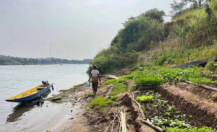 Village de Koh Chheuteal Thom : Horm, 40 ans, arrose ses cultures au bord de la rivière le 10 mars 2024. (Sovann Sreypich CamboJa News)