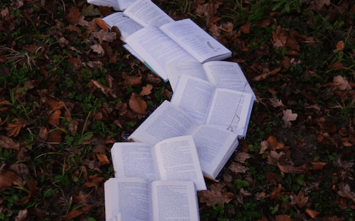 le chemin de l'écriture en expatriation