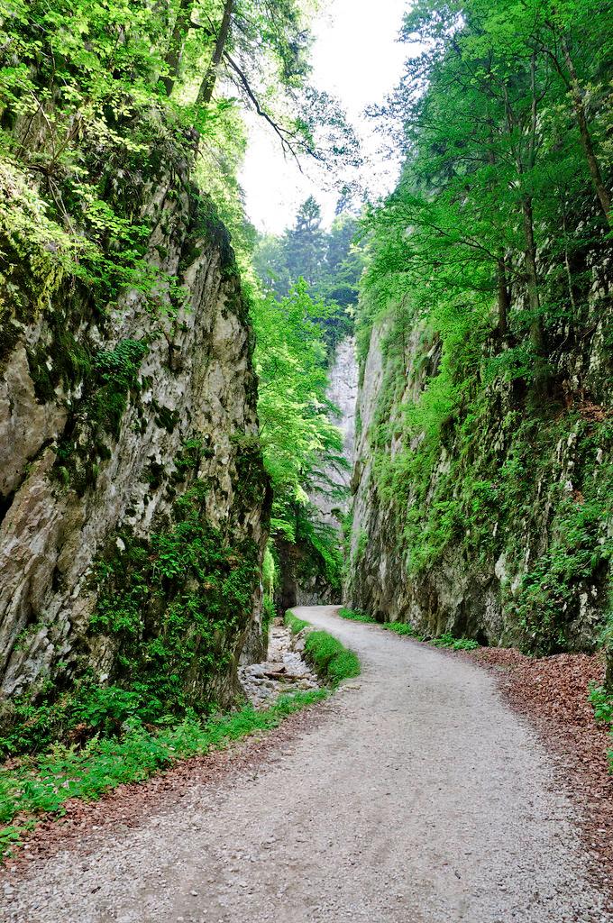 zarnesti-canyon-roumanie-randonnee
