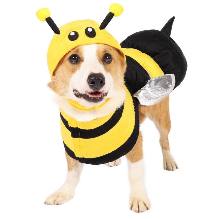 chien habillé en bee