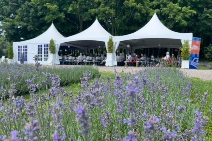 Chapiteau au milieu des champs de lavandes