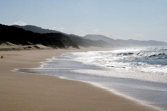 cape vidal, plage, tortue, ponte, oeuf, wetland park, kwa zulu natal, maputaland