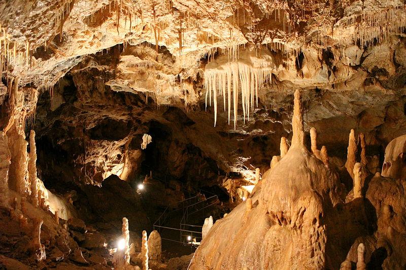 grotte-des-ours-roumanie