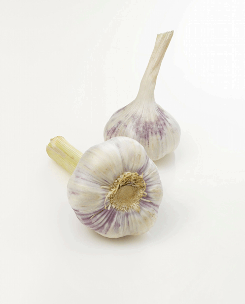 fields-chine-shanghai-fruits-legumes