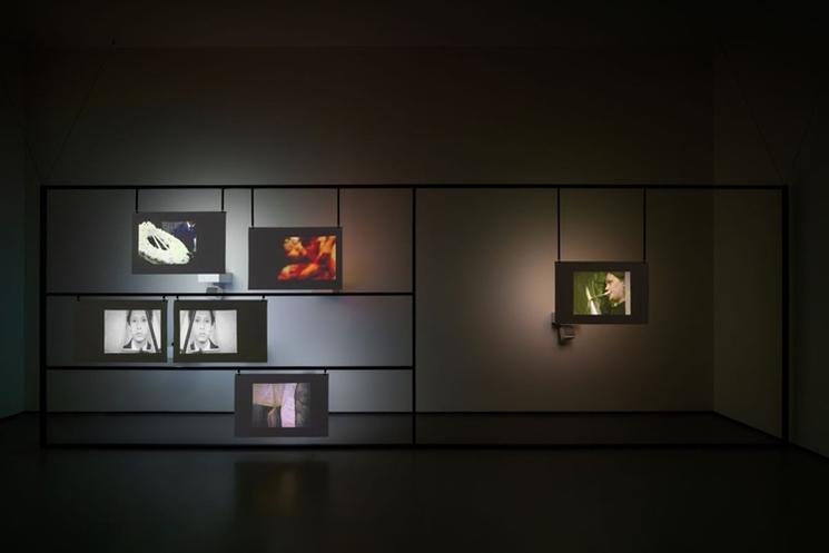 installations art