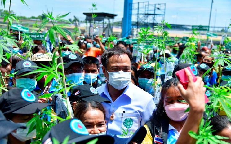 Anutin Charnvirakul, ministre thailandais pro-cannabis en tournee en province