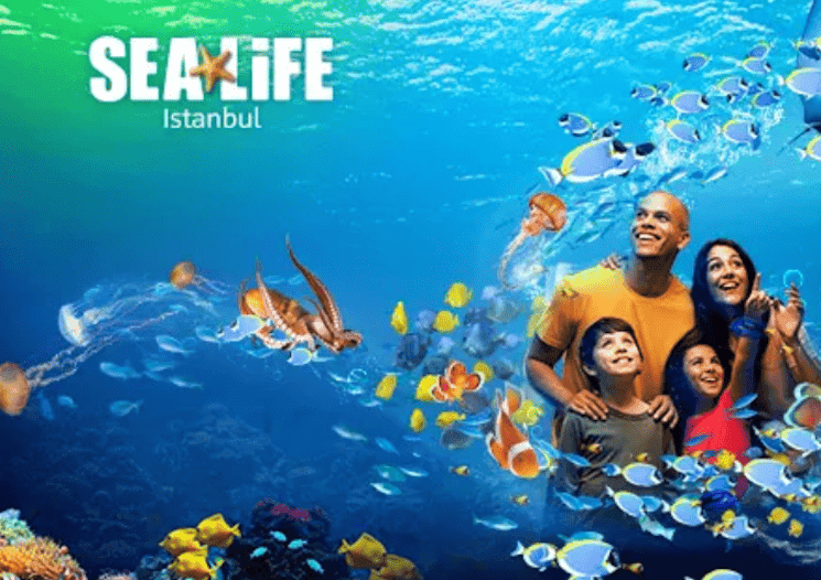 Aquarium Istanbul 2024