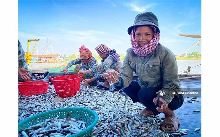 Au Cambodge c'est la saison du poisson fumé3