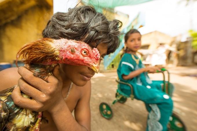 Photo artistique d'Aurelie Fischer chez les gypsies à Auroville