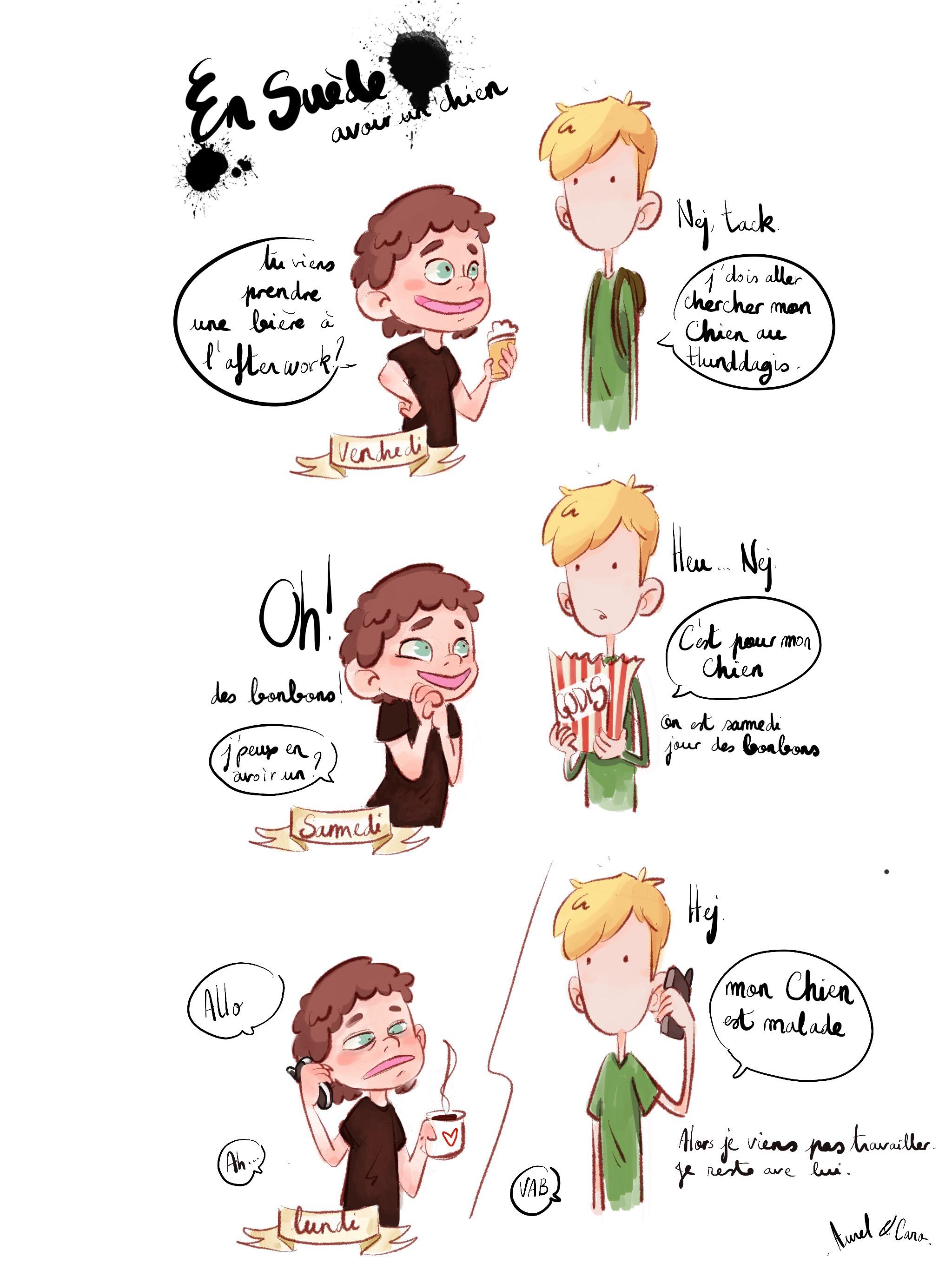 Quand tu as un chien à Stockholm - Strip