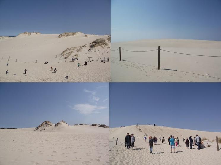 Dunes de leba Pologne