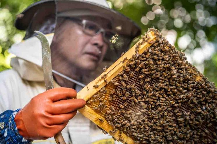 Photo par bruno chapiron