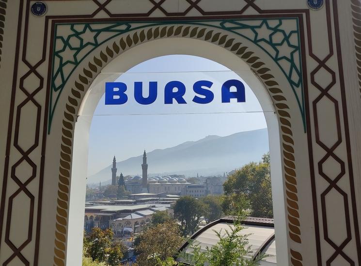 Bursa