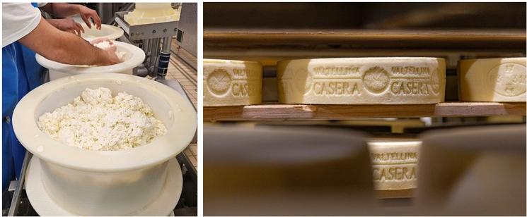 fromage casera