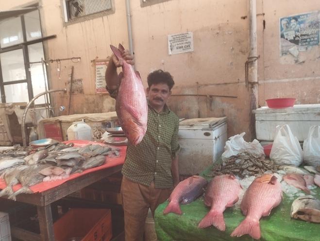 Le marché aux poissons de Calicut dans le Kerala