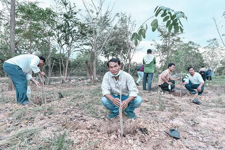 Cambodgien replantant des arbres