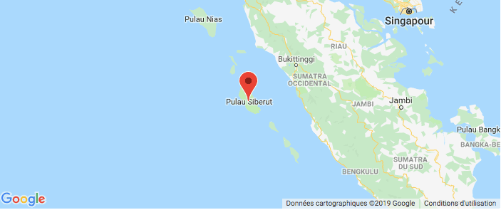 ile de Siberut, Indonésie