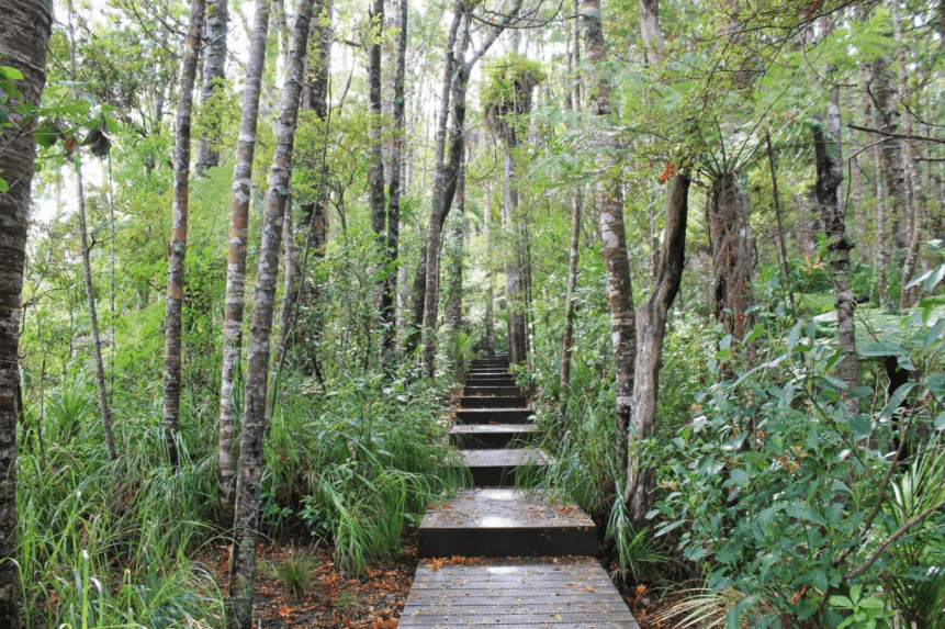 wenderholm track