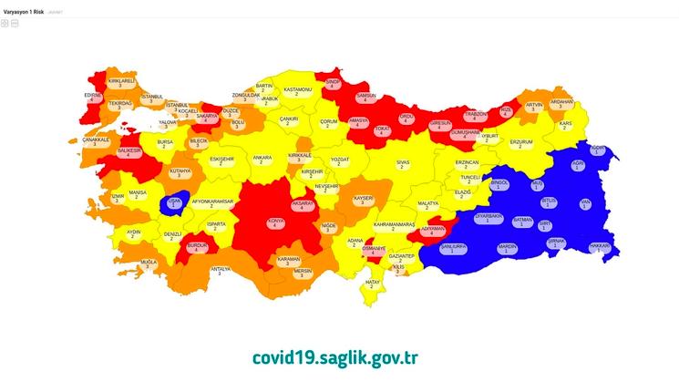 Carte Turquie risque province covid-19