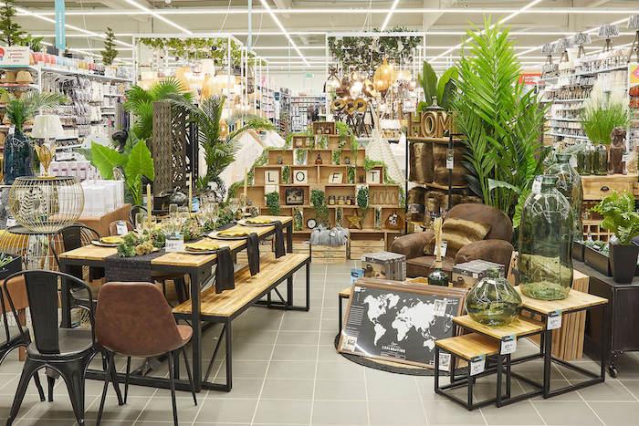 des équipements de décoration d'intérieur et des plantes dans le magasin Centrakor