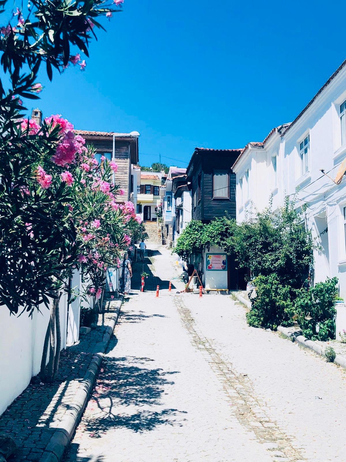 Bozcaada île Mer Égée 