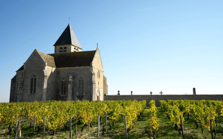 Vignobles Chablis