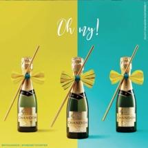 Chandon champagne indien