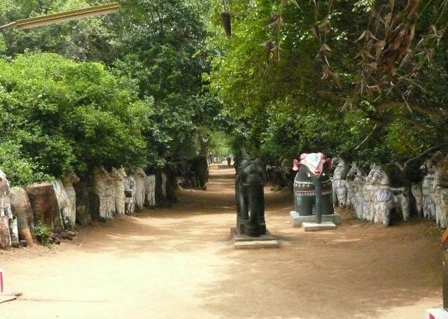 Un bois sacré dans le Chettinad