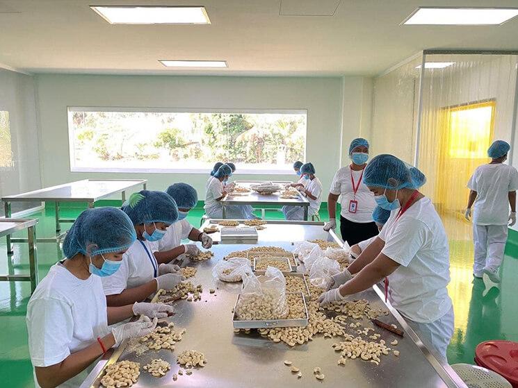 Chey Sambo Cashew Nut Processing Handicraft.