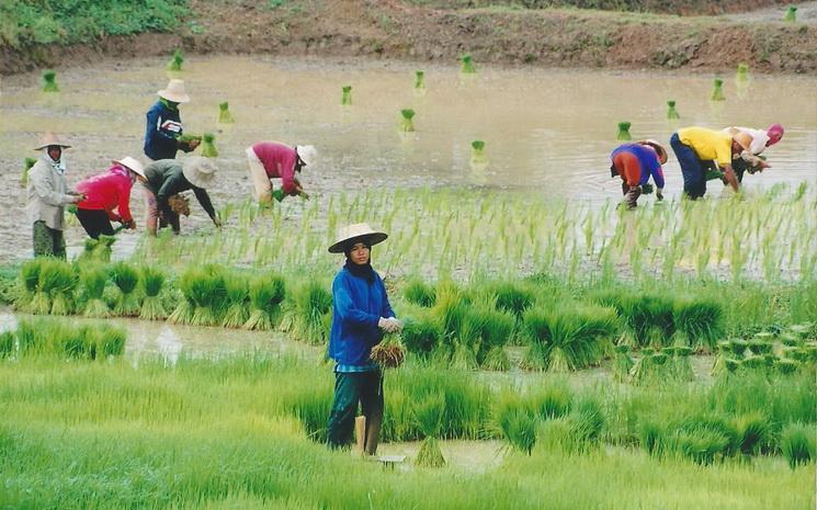 Se ressourcer sur les bords du Mekong a Chiang Khan