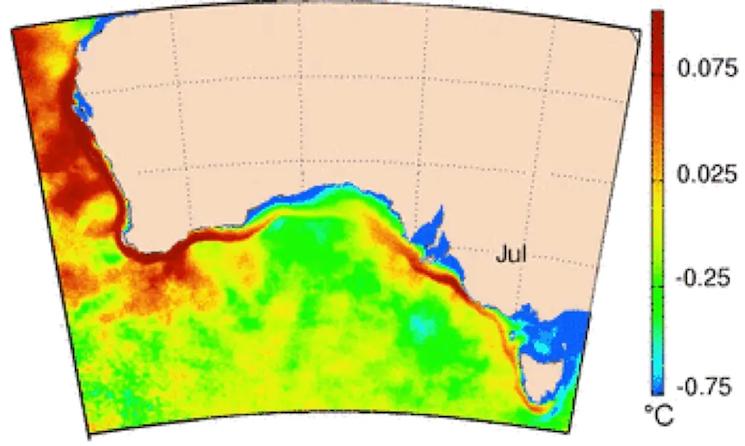 Courant de Leeuwin en Australie Occidentale