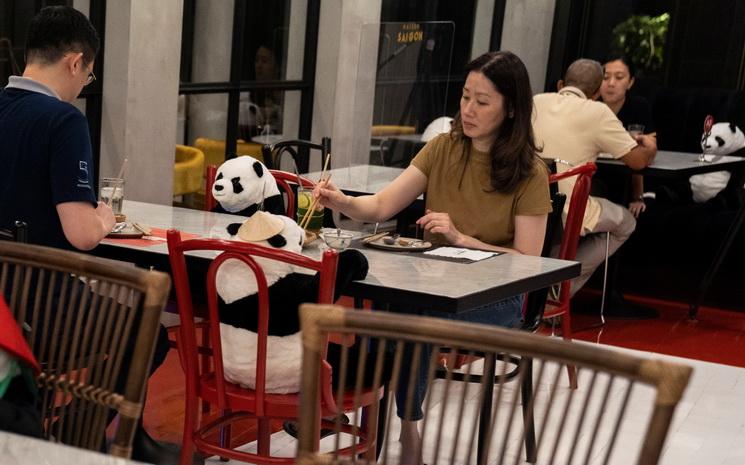 Pandas en peluche pour combler la distanciation physique durant le Covid