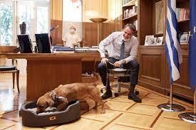 nouvelle loi sur les animeaux