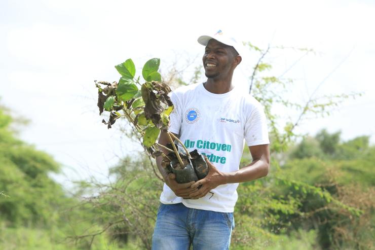 DP World, un citoyen, un arbre