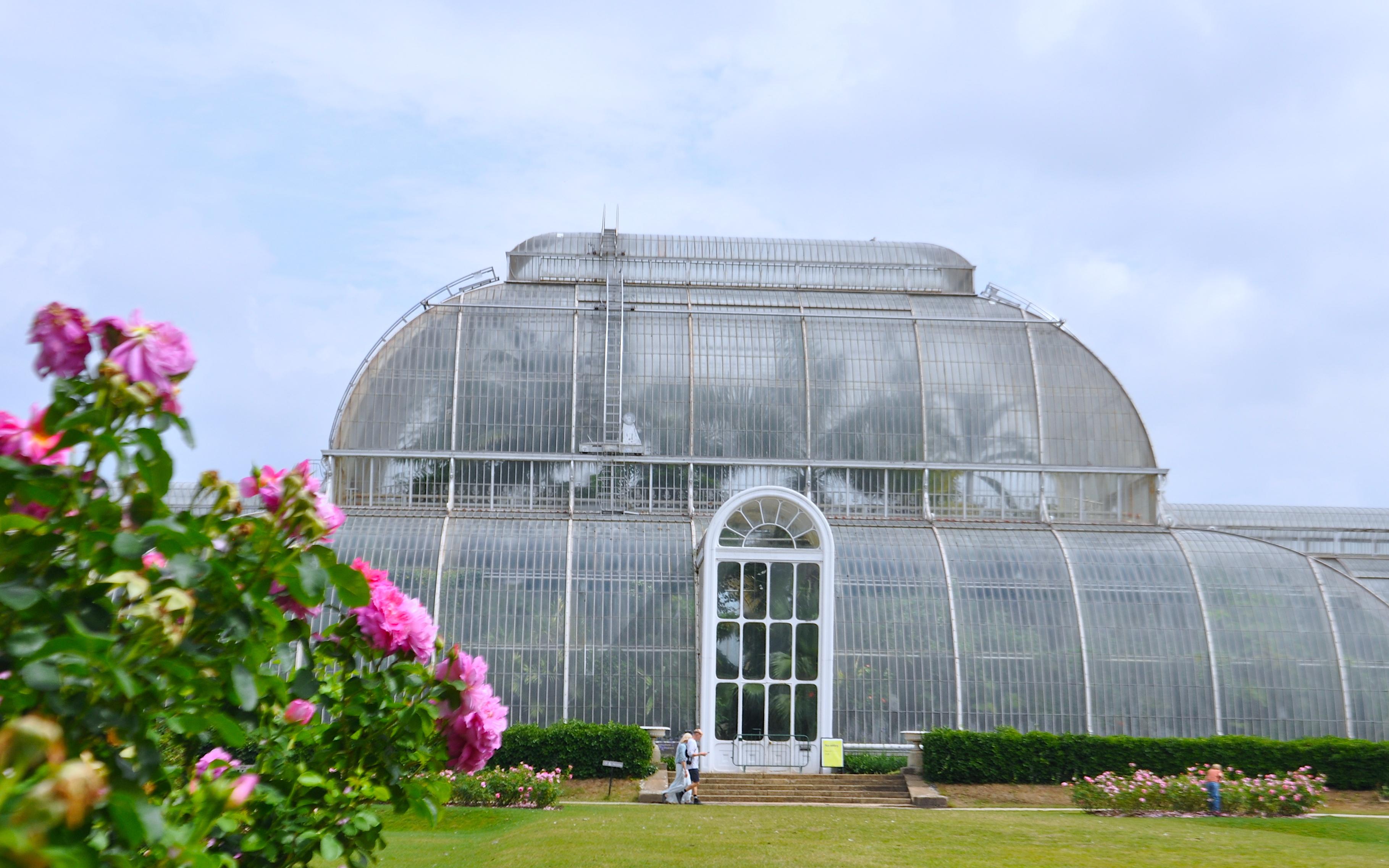 Kew Gardens royal botanic 